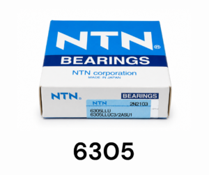 Ruleman 6305