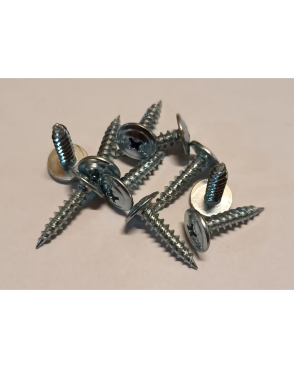 Tornillo Punta Aguja 4,2 x 19mm (10 UNIDADES)