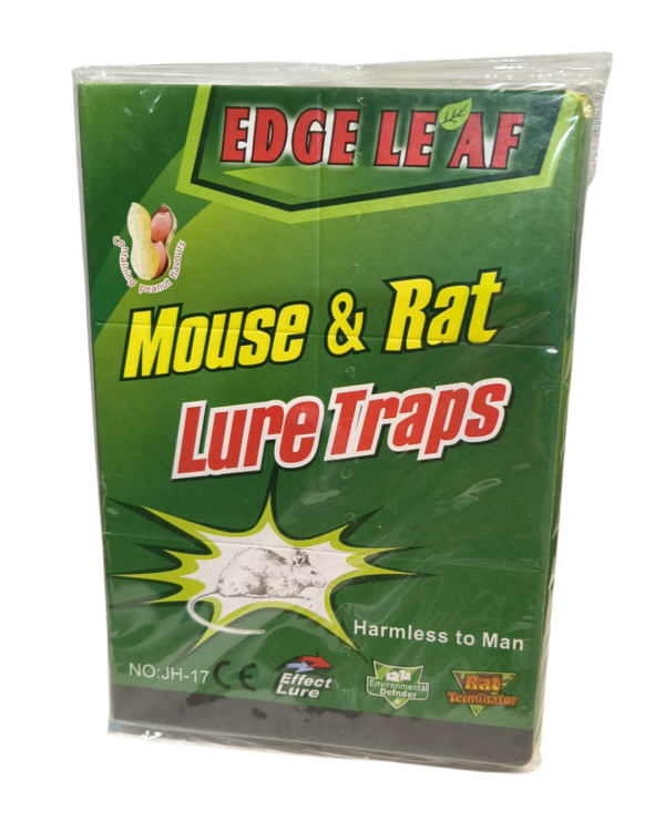 trampa pegamento para ratas y ratones Trampa Pegamento para Ratas y Ratones