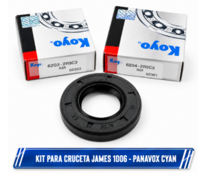 Kit de Rulemanes y Reten para Cruceta JAMES 1006 - PANAVOX CYAN